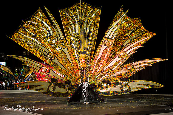 Toronto Carnival  2016 07 29 - 1099