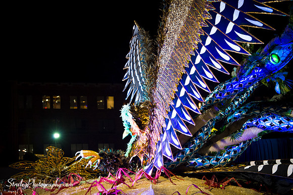 Toronto Carnival  2016 07 29 - 1065
