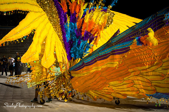 Toronto Carnival  2016 07 29 - 0748