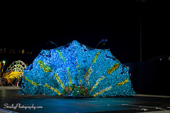 Toronto Carnival  2016 07 29 - 0790