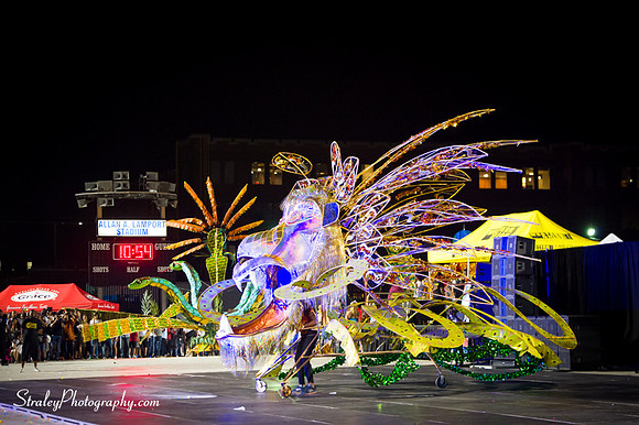 Toronto Carnival  2016 07 29 - 0985