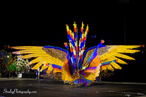 Toronto Carnival  2016 07 29 - 0756