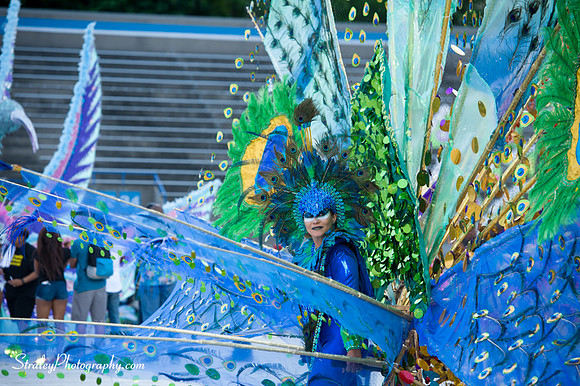 Toronto Carnival  2016 07 29 - 0068