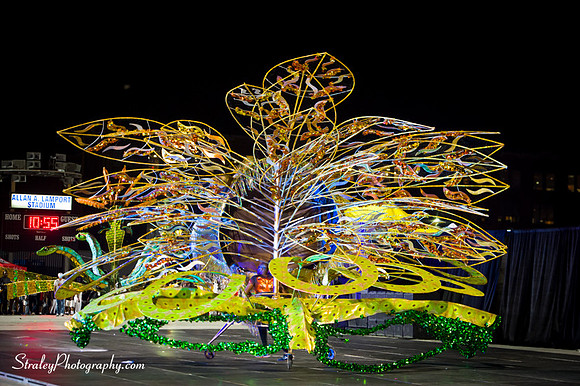 Toronto Carnival  2016 07 29 - 0998