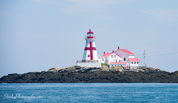 Whale watch 2016 07 13 - 0031