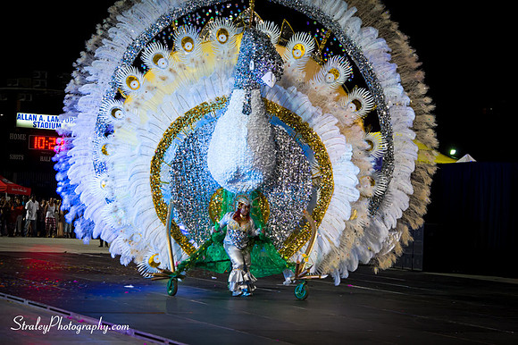 Toronto Carnival  2016 07 29 - 0874