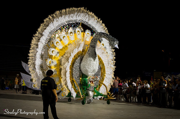 Toronto Carnival  2016 07 29 - 0824
