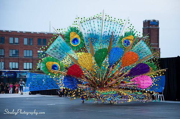 Toronto Carnival  2016 07 29 - 0082