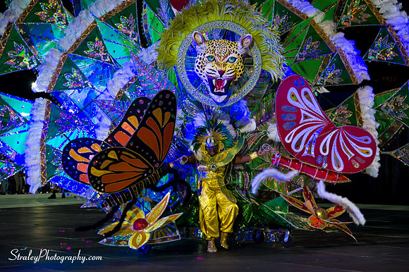 Toronto Carnival  2016 07 29 - 0722