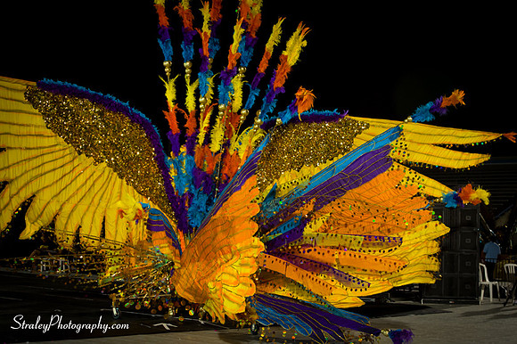 Toronto Carnival  2016 07 29 - 0755