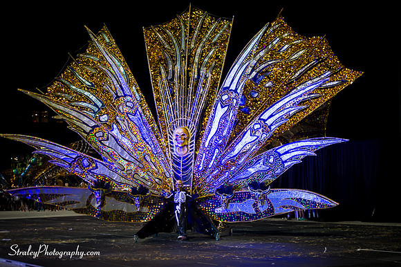 Toronto Carnival  2016 07 29 - 1094