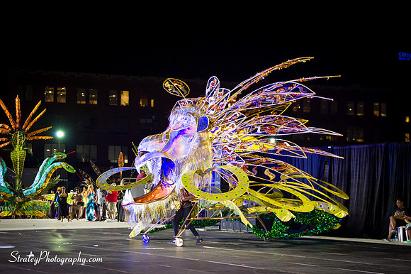 Toronto Carnival  2016 07 29 - 0989