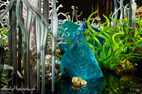Royal Ontario Museum  2016 07 25 - 0024