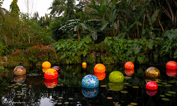 Chihuly at Fairchild Gardens  2015 01 08 - 0078
