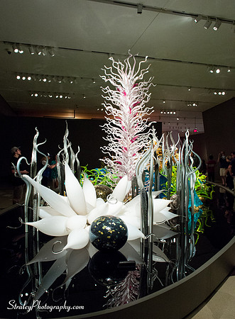 Royal Ontario Museum  2016 07 25 - 0022