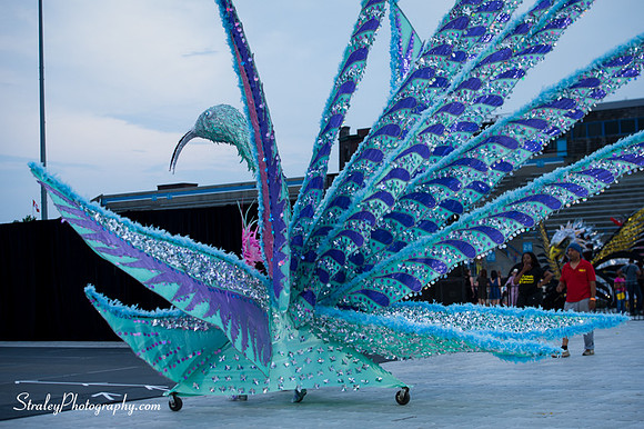 Toronto Carnival  2016 07 29 - 0101