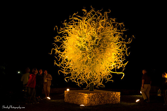 Chihuly at Fairchild Gardens  2015 01 08 - 0238