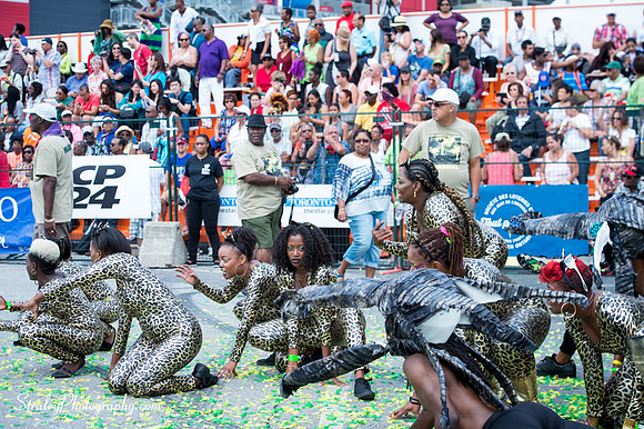 Toronto Carnival 2016 07 30 - 0074