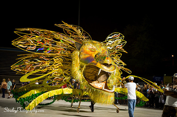 Toronto Carnival  2016 07 29 - 0949