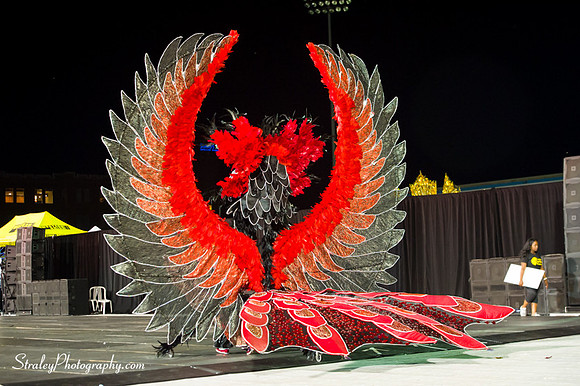 Toronto Carnival  2016 07 29 - 0617