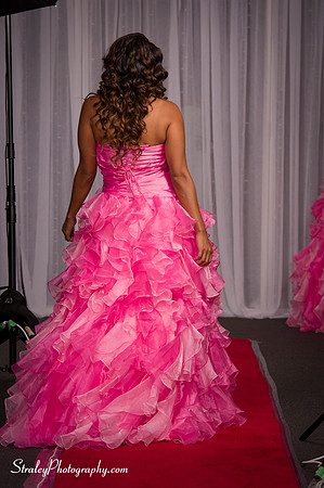 Arlenes Gowns 2013 10 13 - 325