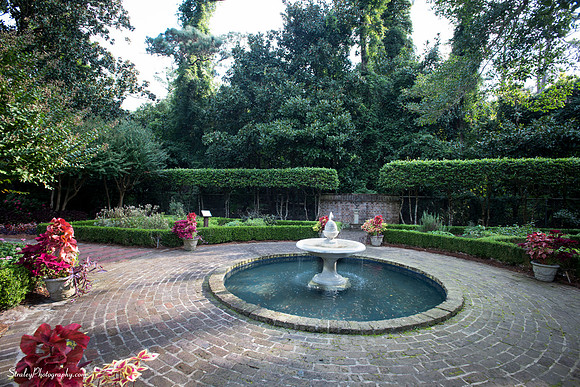 Elizabethan Gardens 2014 10 02 - 0004