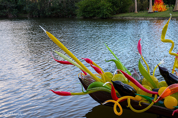 Chihuly at Fairchild Gardens  2015 01 08 - 0042