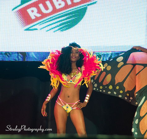 Spicemas 2017 Launch  2017 04 22  - 0335