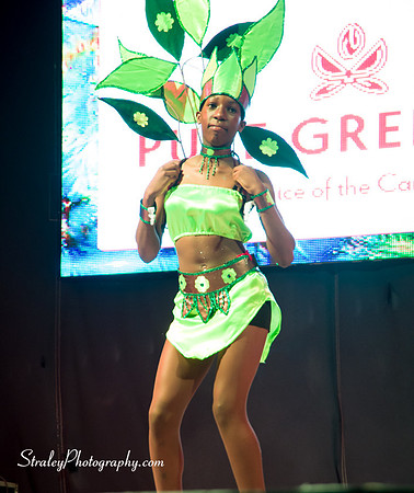 Spicemas 2017 Launch  2017 04 22  - 0413