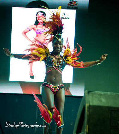 Spicemas 2017 Launch  2017 04 22  - 0472
