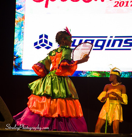 Spicemas 2017 Launch  2017 04 22  - 0278