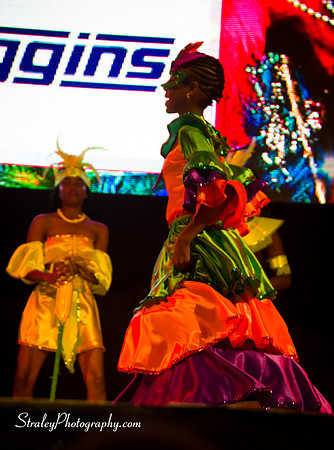 Spicemas 2017 Launch  2017 04 22  - 0276