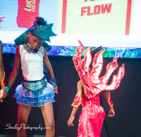 Spicemas 2017 Launch  2017 04 22  - 0410