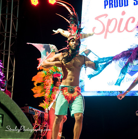 Spicemas 2017 Launch  2017 04 22  - 0374