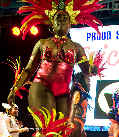 Spicemas 2017 Launch  2017 04 22  - 0449