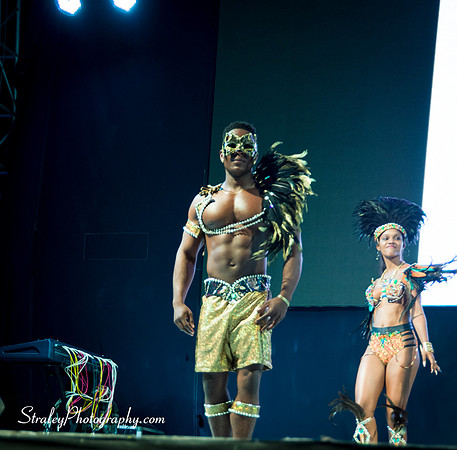 Spicemas 2017 Launch  2017 04 22  - 0498