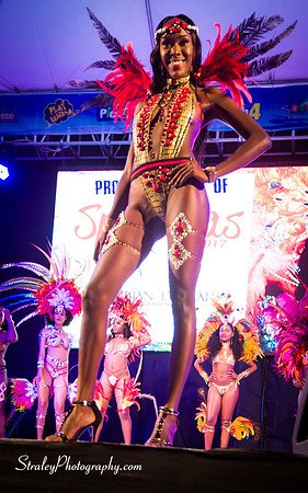 Spicemas 2017 Launch  2017 04 22  - 0591