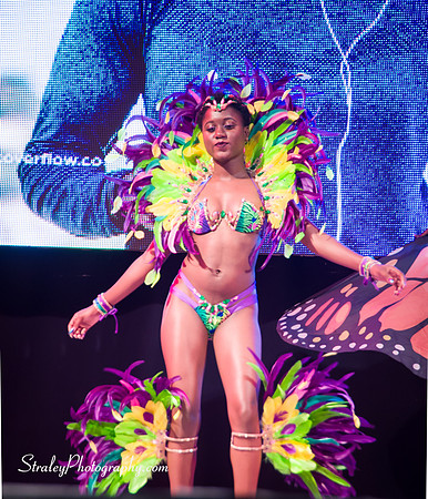 Spicemas 2017 Launch  2017 04 22  - 0339