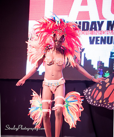 Spicemas 2017 Launch  2017 04 22  - 0343
