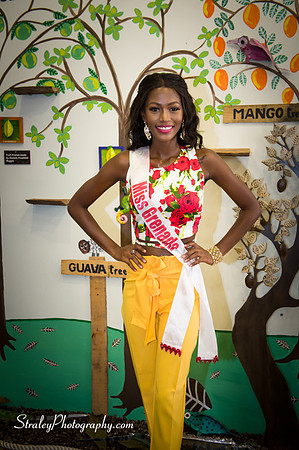 Caribbean United Pageant About Town - 2017 04 28 - 0048