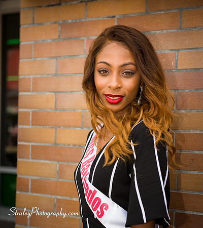 Caribbean United Pageant About Town - 2017 04 28 - 0359