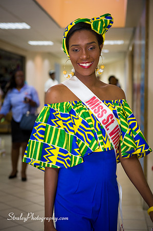 Caribbean United Pageant About Town - 2017 04 28 - 0410