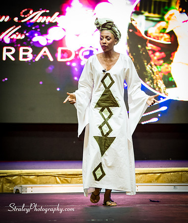 Miss Caribbean United Pageant  2017 04 29  - 0375
