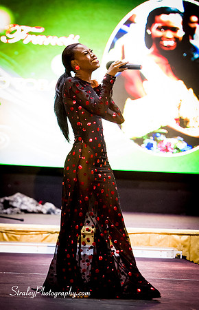 Miss Caribbean United Pageant  2017 04 29  - 0511