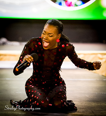 Miss Caribbean United Pageant  2017 04 29  - 0516