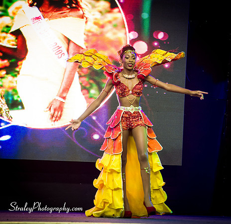 Miss Caribbean United Pageant  2017 04 29  - 0014