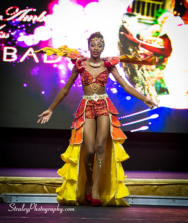 Miss Caribbean United Pageant  2017 04 29  - 0020