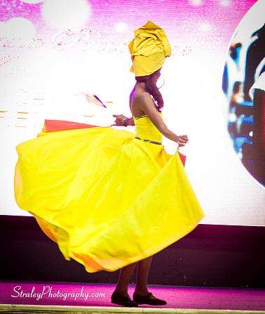 Miss Caribbean United Pageant  2017 04 29  - 0068