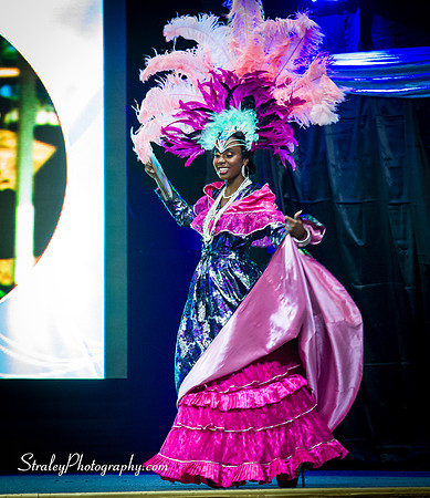 Miss Caribbean United Pageant  2017 04 29  - 0231