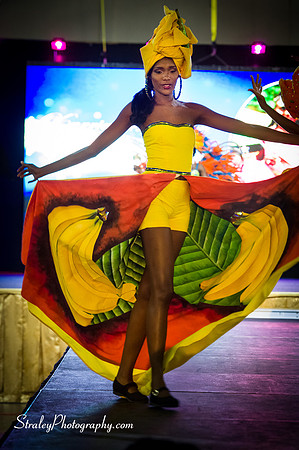 Miss Caribbean United Pageant  2017 04 29  - 0317